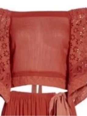 Free People Rust Red Sheer Tie-Front Top